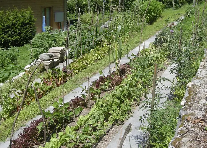 Eco-Hotel Cristallina