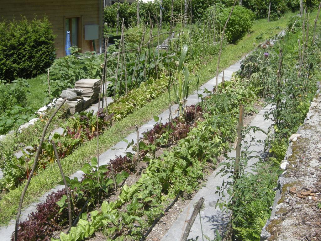 Hotel Eco-hotel Cristallina Coglio