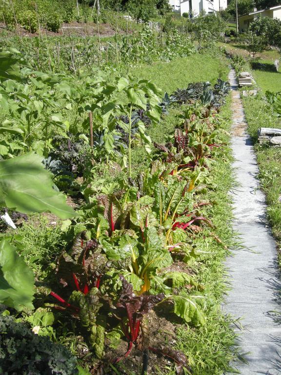 Eco-hotel Cristallina